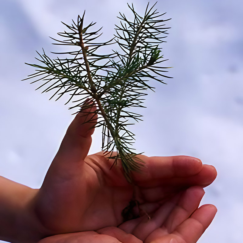 Unsere Werte Unsere Werte