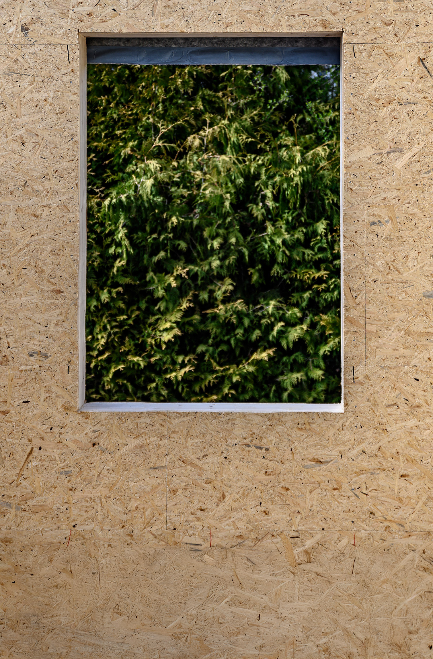 Zubau mit OSB Platten Zubau mit OSB Platten